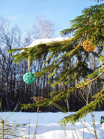 Фуллерены